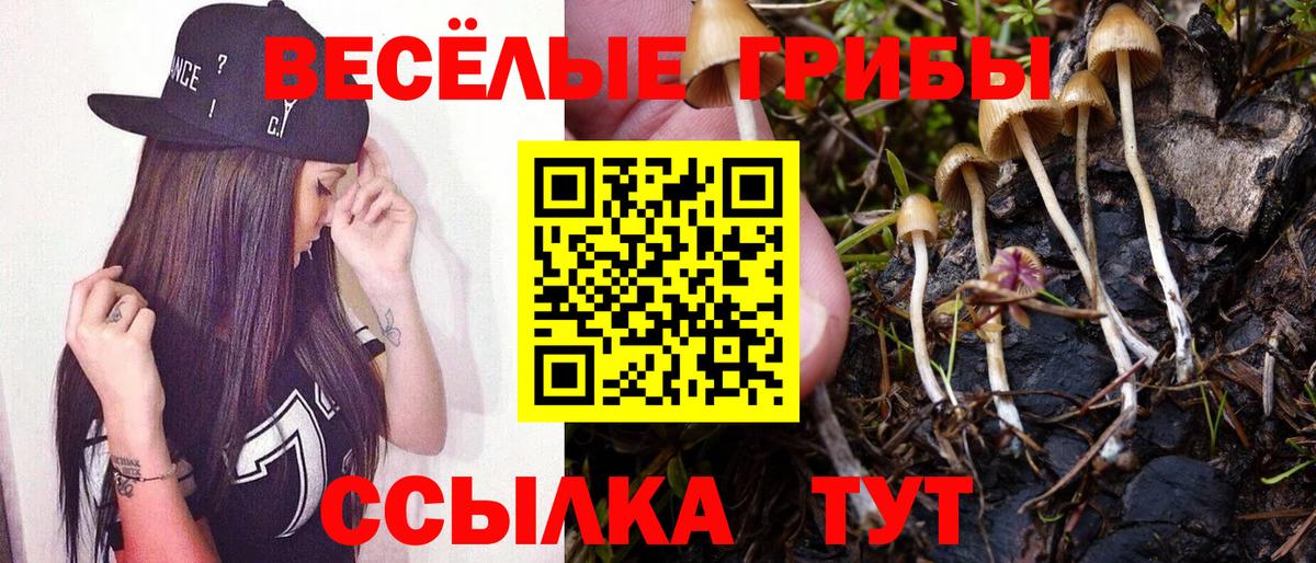 Новочебоксарск  Псилоцибиновые грибы мухоморы  Вход с VPN  Галлюциногенные грибы Cubensis 
